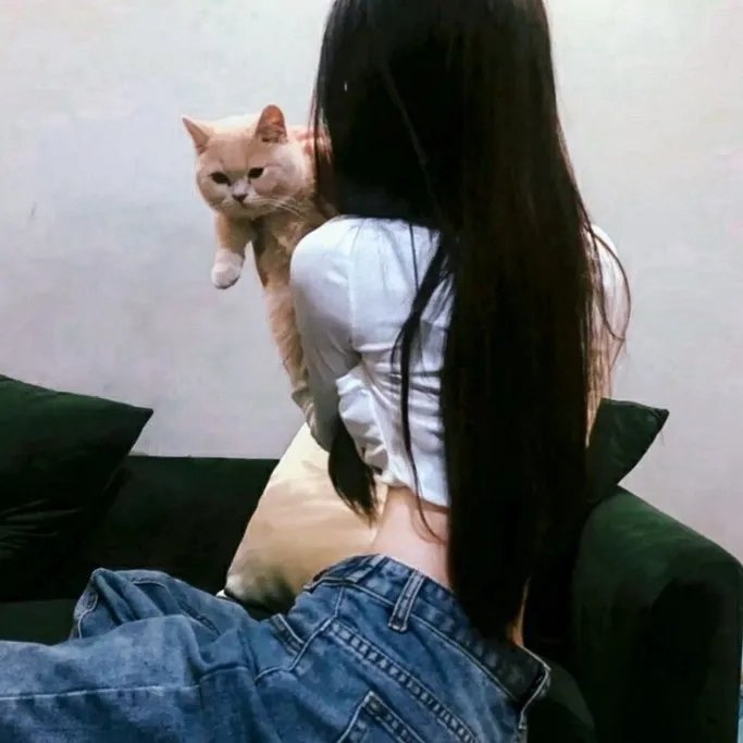 公理 在线观看